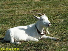 183471_2.jpg  : 117 KB