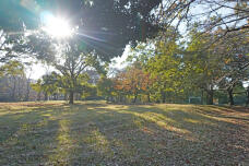 183475_1.jpg  : 356 KB