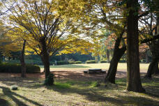 183475_2.jpg  : 402 KB