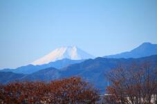 183479_1.jpg  : 87 KB