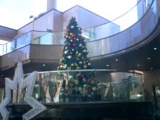 183481_1.jpg  : 119 KB