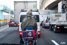 183485_1.jpg  : 67 KB