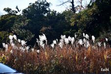 183485_4.jpg  : 124 KB