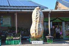 183485_9.jpg  : 80 KB