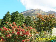 183489_3.jpg  : 108 KB