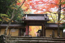 183494_1.jpg  : 131 KB