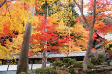 183494_3.jpg  : 178 KB