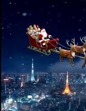 183497_1.jpg  : 171 KB