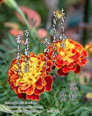 183499_1.jpg  : 235 KB