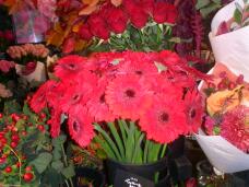 183500_1.jpg  : 127 KB