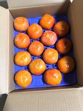 183503_2.jpg  : 164 KB