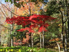 183506_1.jpg  : 134 KB