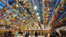 183510_1.jpg  : 384 KB