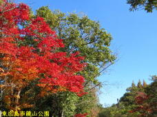 183521_1.jpg  : 107 KB