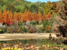 183521_2.jpg  : 98 KB