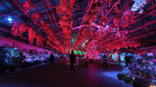 183523_1.jpg  : 254 KB