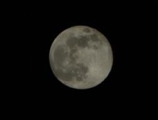 183527_1.jpg  : 12 KB