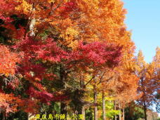 183534_1.jpg  : 117 KB