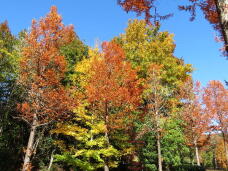 183534_3.jpg  : 123 KB