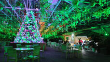 183537_2.jpg  : 283 KB