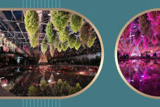 183543_1.jpg  : 276 KB