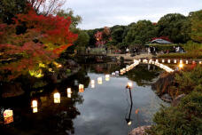 183545_3.jpg  : 101 KB