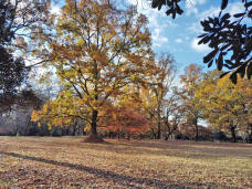 183558_2.jpg  : 165 KB