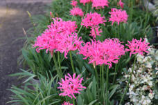 183559_1.jpg  : 163 KB