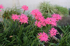 183559_2.jpg  : 178 KB