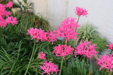 183559_3.jpg  : 152 KB