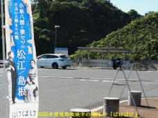 183573_3.jpg  : 74 KB