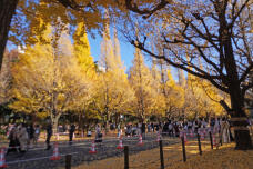 183575_1.jpg  : 282 KB