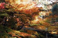 183581_1.jpg  : 179 KB