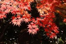 183581_2.jpg  : 123 KB