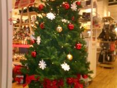 183583_1.jpg  : 121 KB