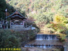 183585_2.jpg  : 103 KB