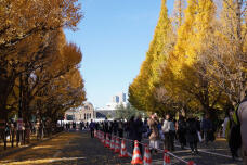 183589_1.jpg  : 343 KB