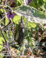 183593_1.jpg  : 252 KB