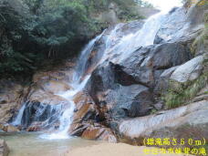 183603_2.jpg  : 77 KB