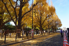 183607_1.jpg  : 383 KB