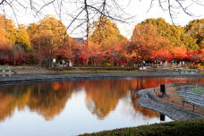 183609_1.jpg  : 120 KB