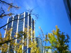 183613_2.jpg  : 125 KB