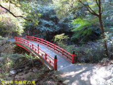 183616_1.jpg  : 107 KB