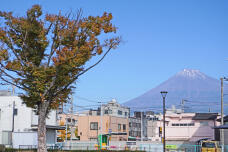 183620_1.jpg  : 248 KB