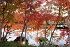 183623_3.jpg  : 178 KB