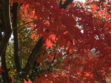 183625_1.jpg  : 58 KB