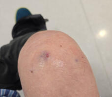 183627_1.jpg  : 112 KB