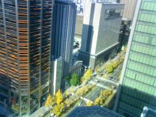 183629_1.jpg  : 126 KB