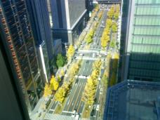 183629_2.jpg  : 122 KB