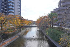 183641_1.jpg  : 291 KB